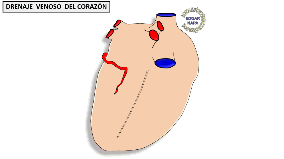 Este es un excelente lugar para agregar un párrafo. Site brand