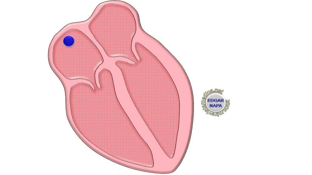 Este es un excelente lugar para agregar un párrafo. Site brand