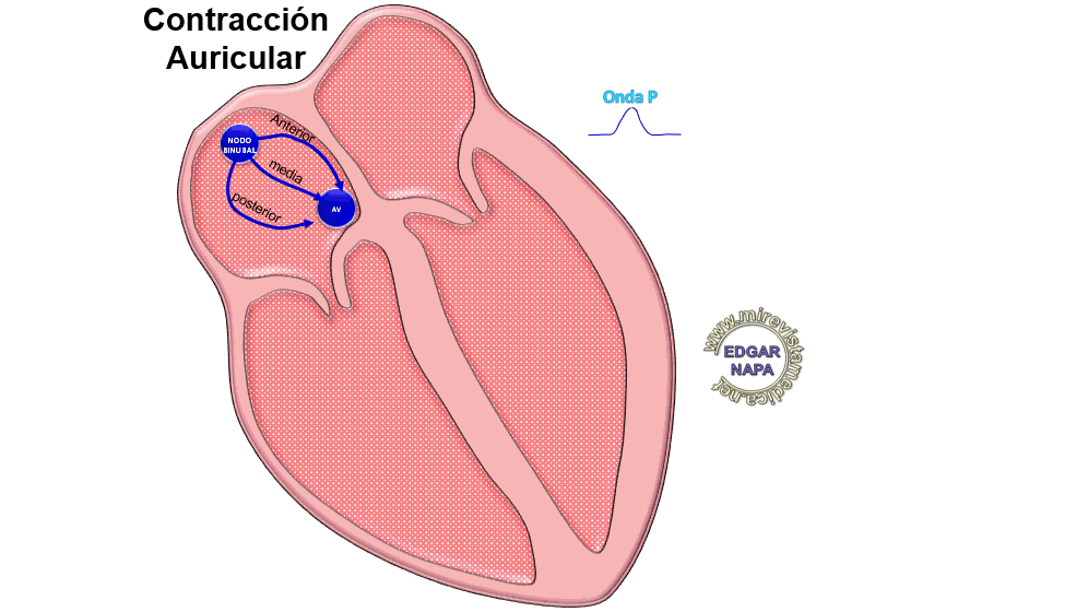 Este es un excelente lugar para agregar un párrafo. Site brand