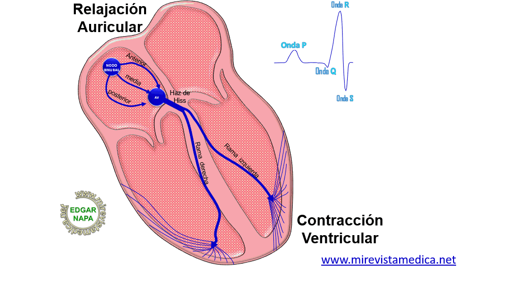 Este es un excelente lugar para agregar un párrafo. Site brand